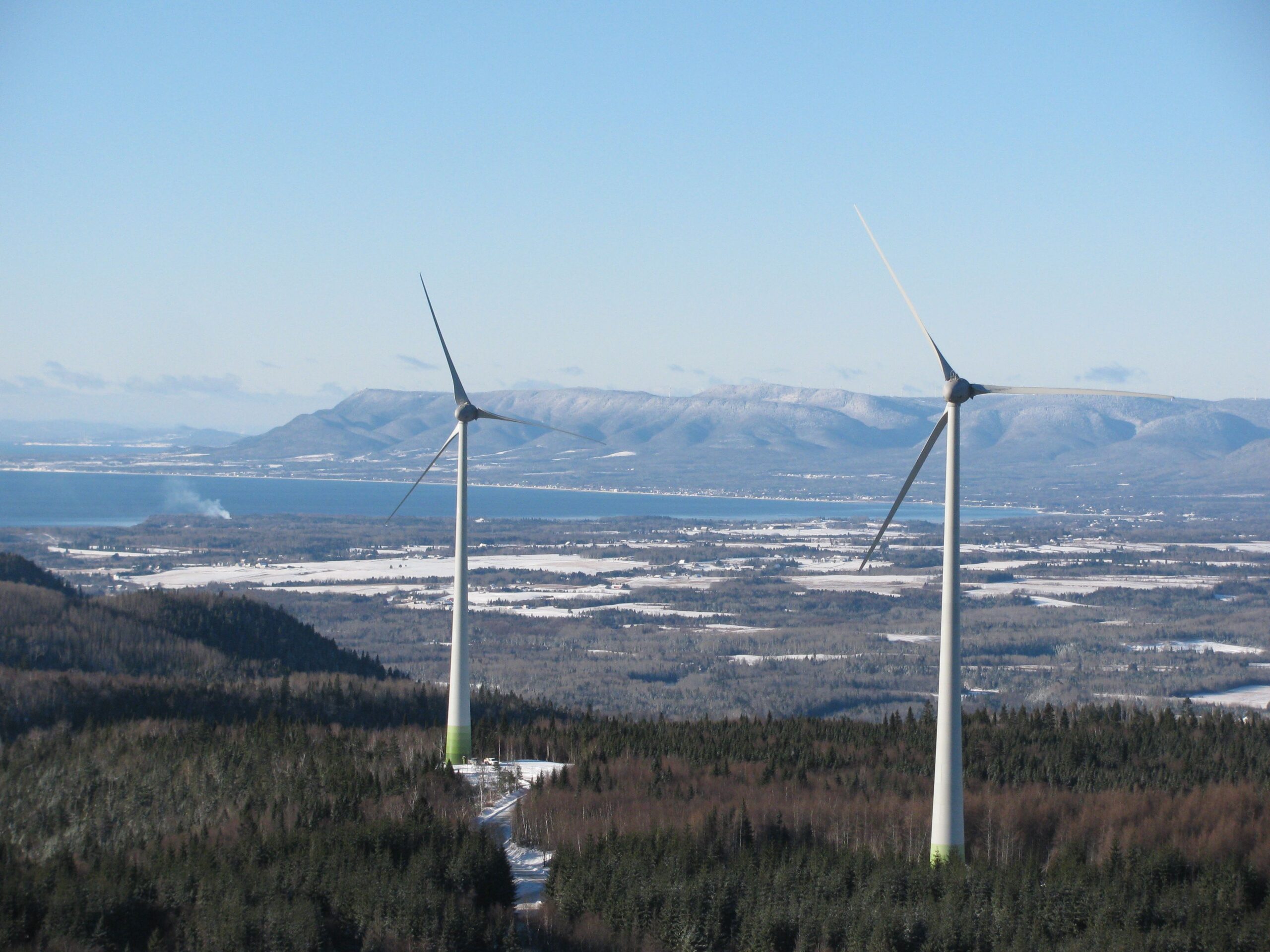 Alignement des arbres